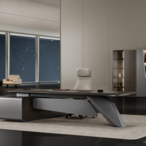 CEO SPACE